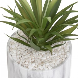 Plante Pot Marbre Assortiment H 17,5 