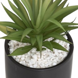 Plante Pot Marbre Assortiment H 17,5 