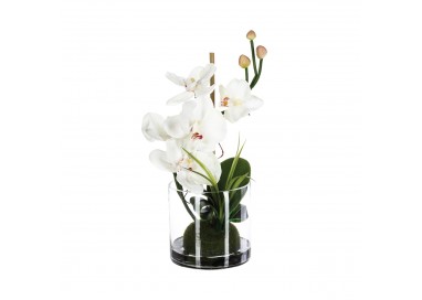 Composition florale d'orchidées 
