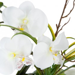 Composition d'orchidée et son vase cercle - 2 coloris