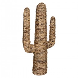 Cactus en jacinthe d'eau "Hacienda" grand modèle