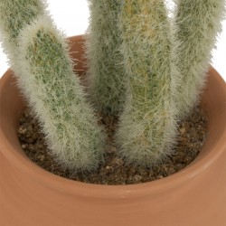 Cactus en pot de terre cuite "Alicante" H16,5 cm