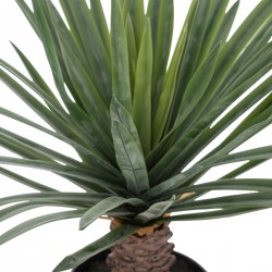 Palmier en pot "Rivi" H52cm