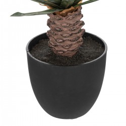 Palmier en pot "Rivi" H52cm