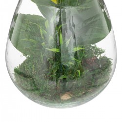 Terrarium "Botanic Factory" H29,5cm