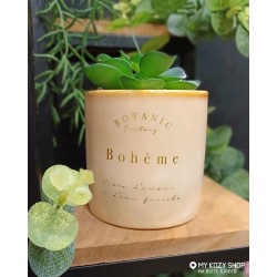 Plante d'intérieur grasse botanic factory pot en céramique My Kozy Shop image My Kozy Shop photo