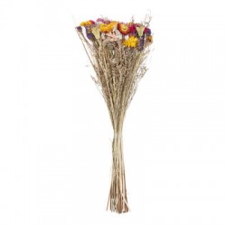 Bouquet de fleurs séchées Color My Kozy Shop image