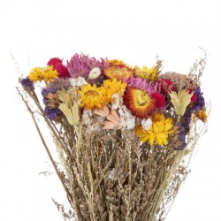 Bouquet de fleurs séchées "Color" D22cm