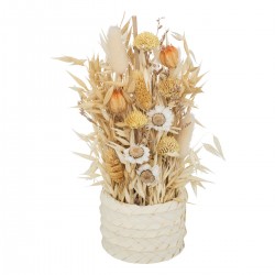 Composition végétale de fleurs séchées et son pot en céramique blanche en relief My Kozy Shop image