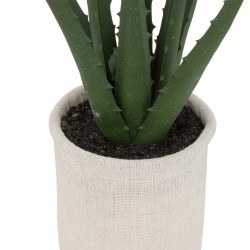 Plante d'aloe vera dans son pot blanc My Kozy Shop image