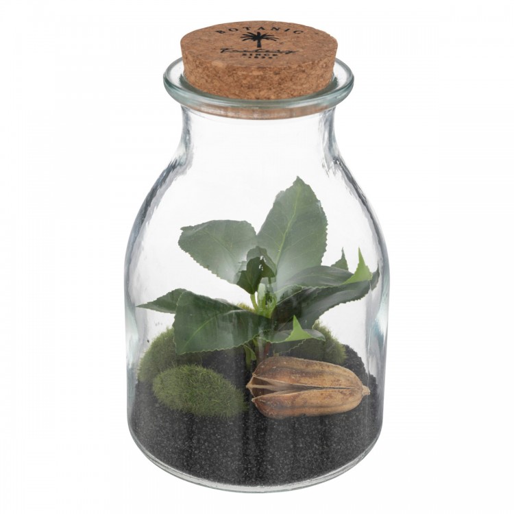 Terrarium en verre Botanic Factory H19cm - My Kozy Shop