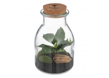 Terrarium avec bocal en verre et bouchon de liège My Kozy Shop image