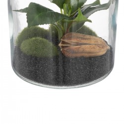 Terrarium avec bocal en verre et bouchon de liège My Kozy Shop image