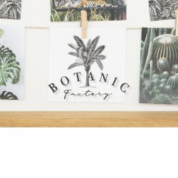 Porte photo en bois et cordelette en accroches pour photos Botanic Factory My Kozy Shop