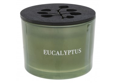 Bougie parfumée à l'eucalyptus au design harmonieux et cosy
