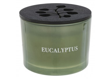 Bougie parfumée à l'eucalyptus au design harmonieux et cosy