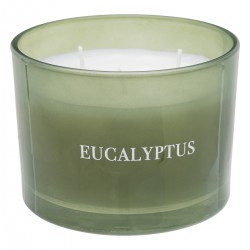 Bougie parfumée à l'eucalyptus au design harmonieux et cosy