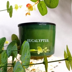 Bougie parfumée "Cosy" Eucalyptus 280g - Divers parfums