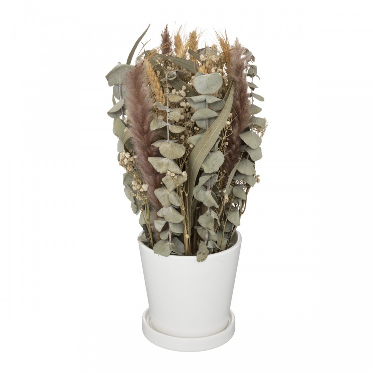 Composition de fleurs séchées et son pot en céramique H36cm