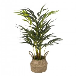 Palmier artificiel dans son pot en roseau tressé pour une déco jungle dans votre intérieur. My Kozy Shop