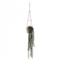 Plante tombante avec pot en argile et corde en macramé. My Kozy Shop