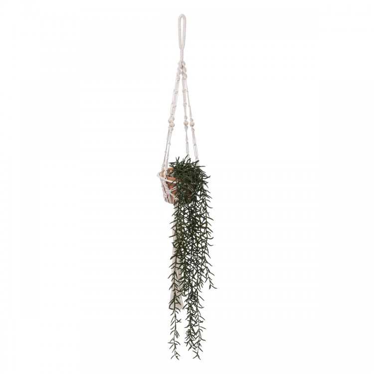 Plante tombante avec pot en argile et corde en macramé. My Kozy Shop