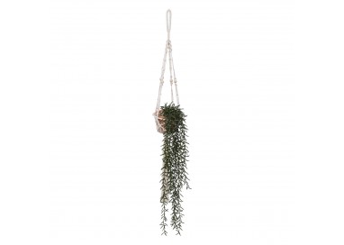 Plante tombante avec pot en argile et corde en macramé. My Kozy Shop