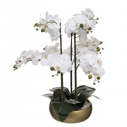 Orchidée dans pot doré H65cm