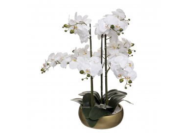 Orchidée dans pot doré H65cm