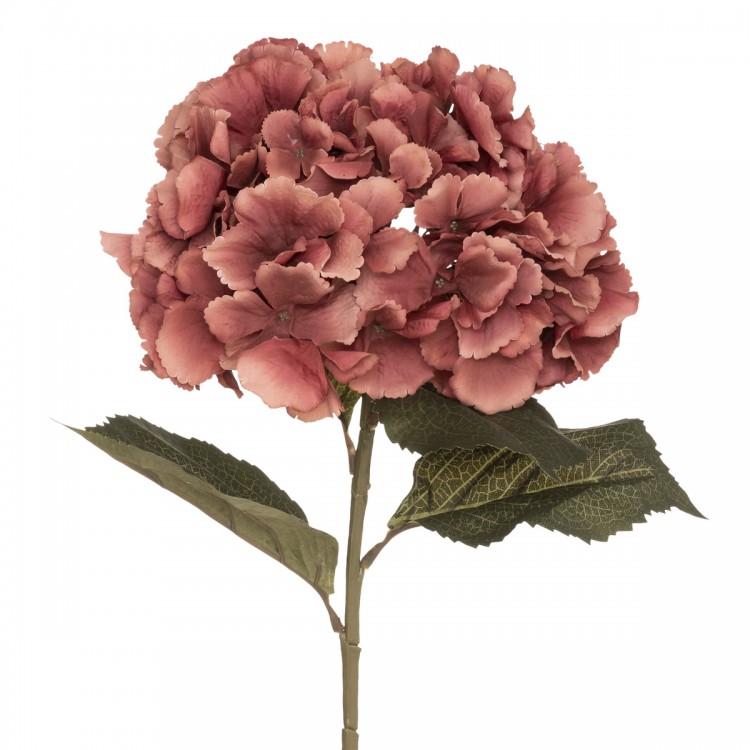 Tige d'hortensia prune "Gypsy" H83cm