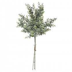 Bouquet d'eucalyptus H64cm