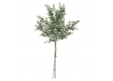 Bouquet d'eucalyptus H64cm