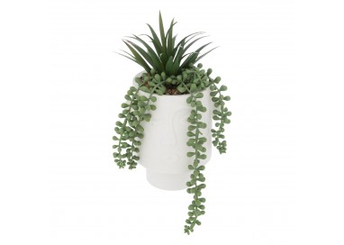 Plante artificielle "Visage" H25cm - My Kozy Shop