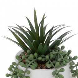 Plante artificielle "Visage" H25cm - My Kozy Shop