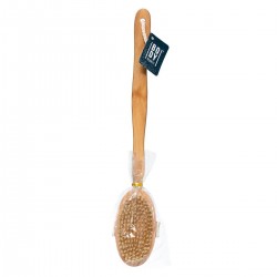 Brosse à dos et manche en bois 