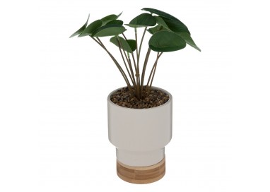 Plante artificielle "Le Collectionneur" Blanc H26cm - My Kozy Shop