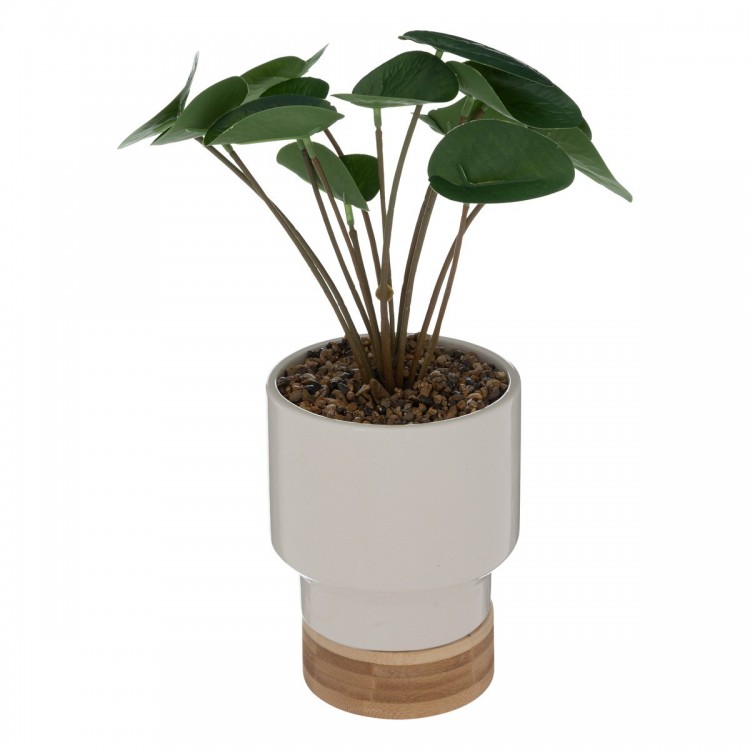 Plante artificielle "Le Collectionneur" Blanc H26cm - My Kozy Shop Plante artificielle "Le Collectionneur" Blanc H26cm - My Kozy Shop