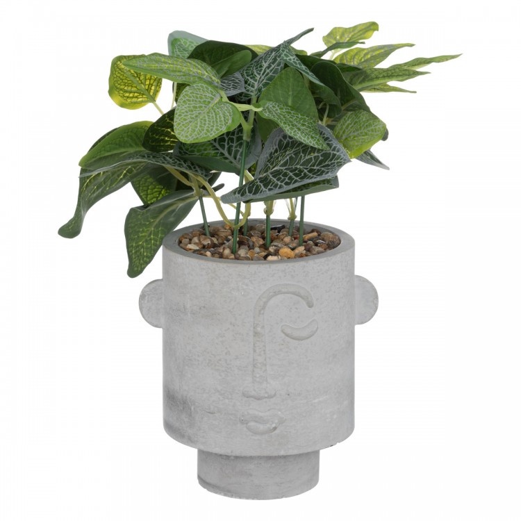 Plante artificielle Visage en pot en ciment H26cm - My Kozy Shop