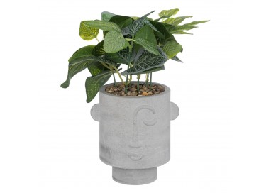 Plante artificielle "Visage" en pot en ciment H26cm - My Kozy Shop