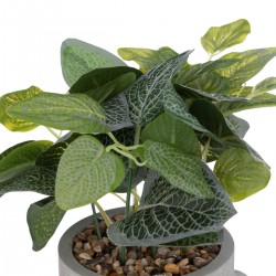 Plante artificielle "Visage" en pot en ciment H26cm - My Kozy Shop