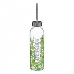 Bouteille en verre Detox 0,5L 