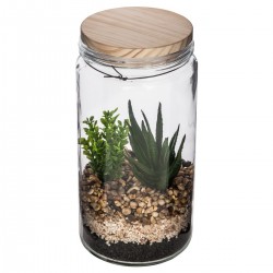 Terrarium et couvercle de bois