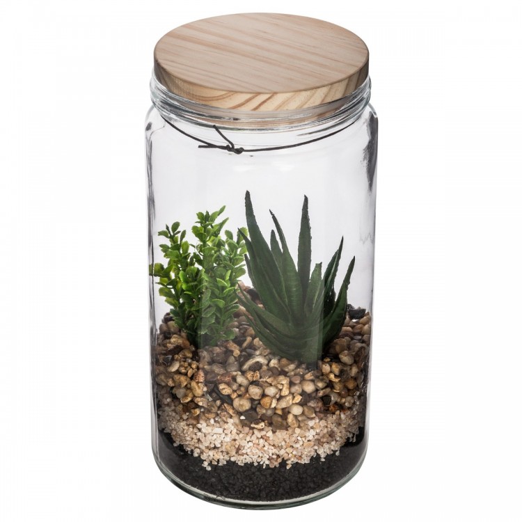 Terrarium et couvercle de bois