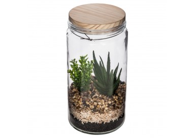 Terrarium et couvercle de bois