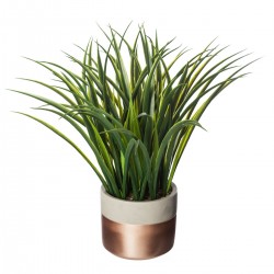 Plante verte pot cuivré