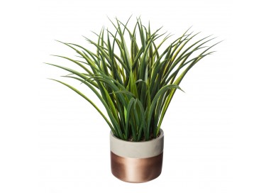 Plante verte pot cuivré