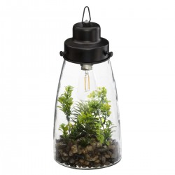 Terrarium lumineux