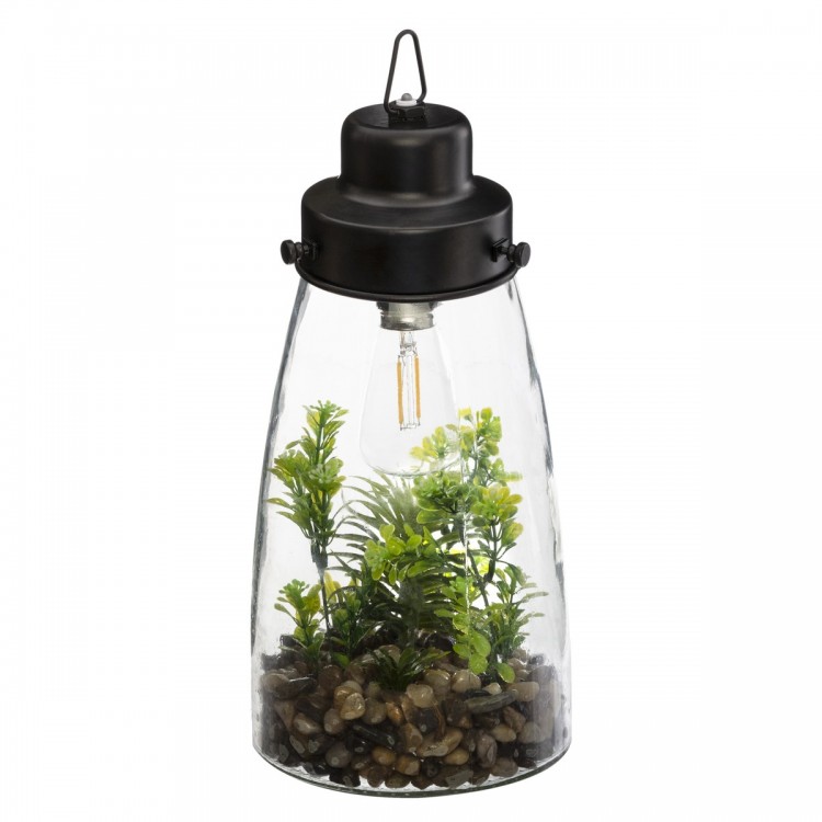 Terrarium lumineux