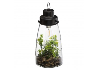 Terrarium lumineux