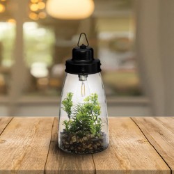 Terrarium lumineux